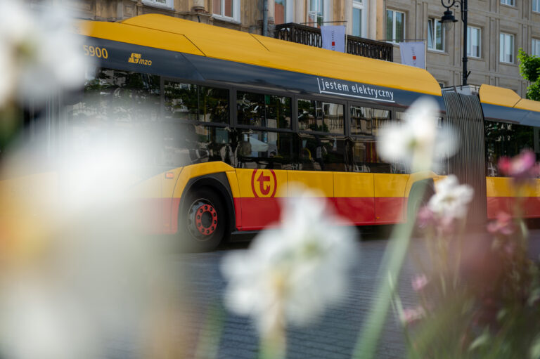 Autobus WTP, na pierwszym planie białe kwiaty